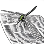 ApothecaMD Dragonfly reading the news